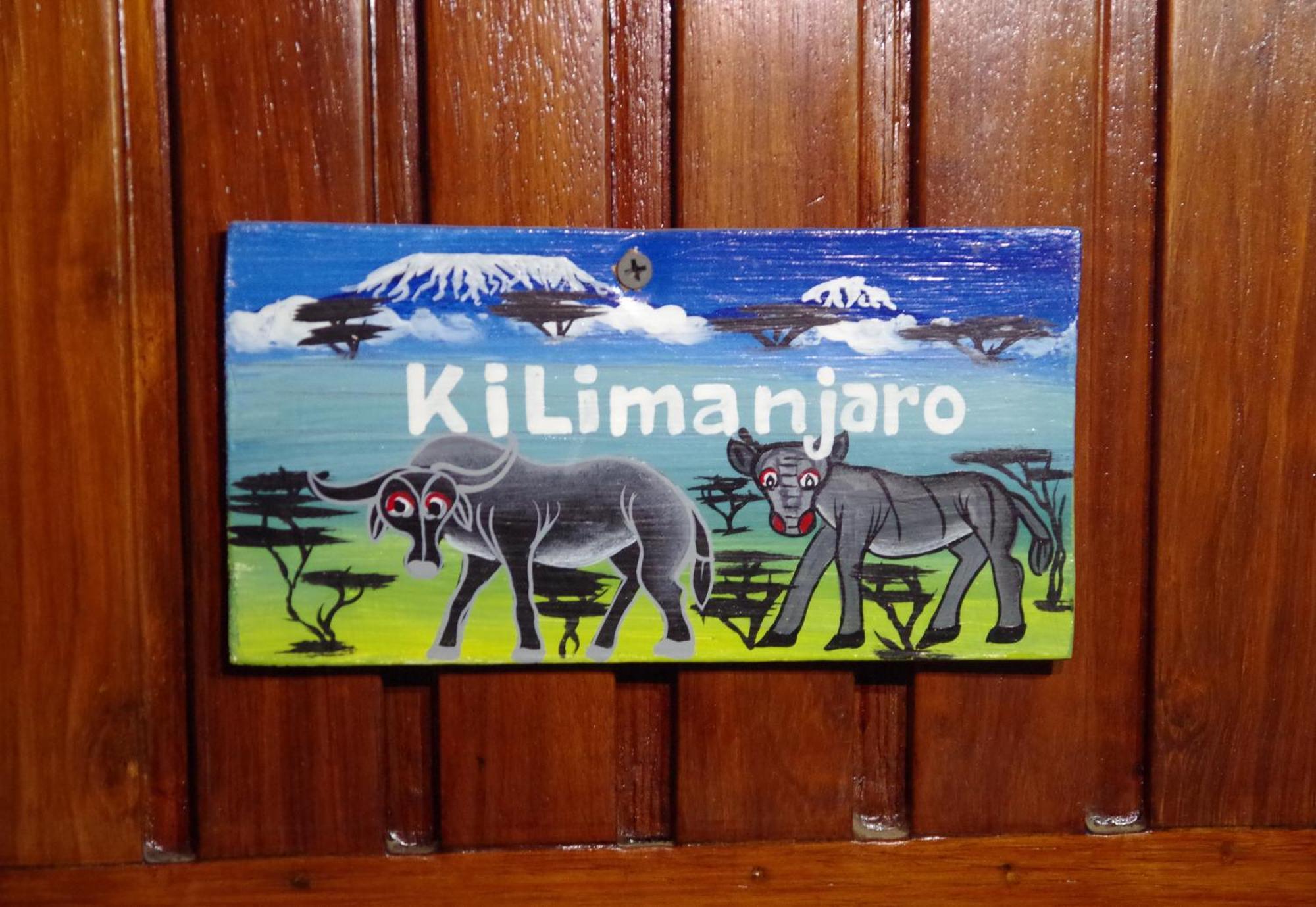 Villa Viva Tanzania アルーシャ エクステリア 写真